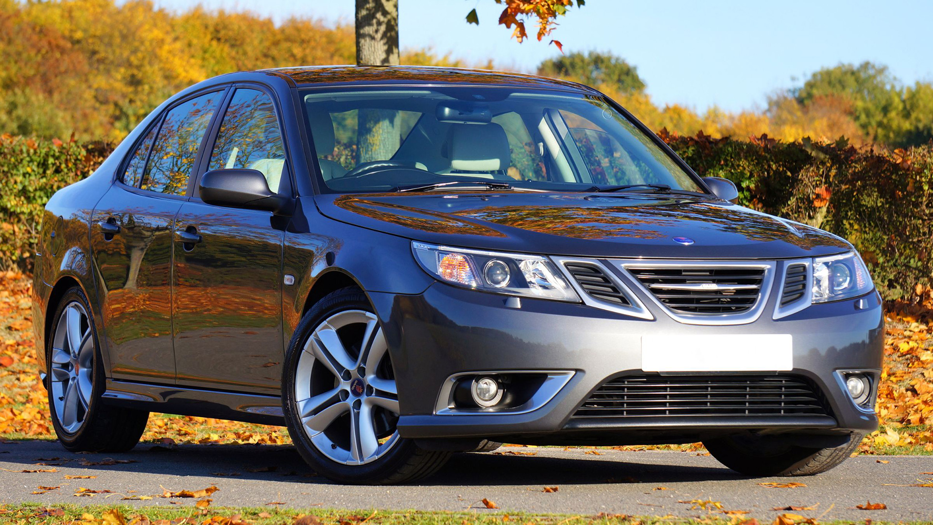 {{KEYWORD}} in {{LOCATION}}